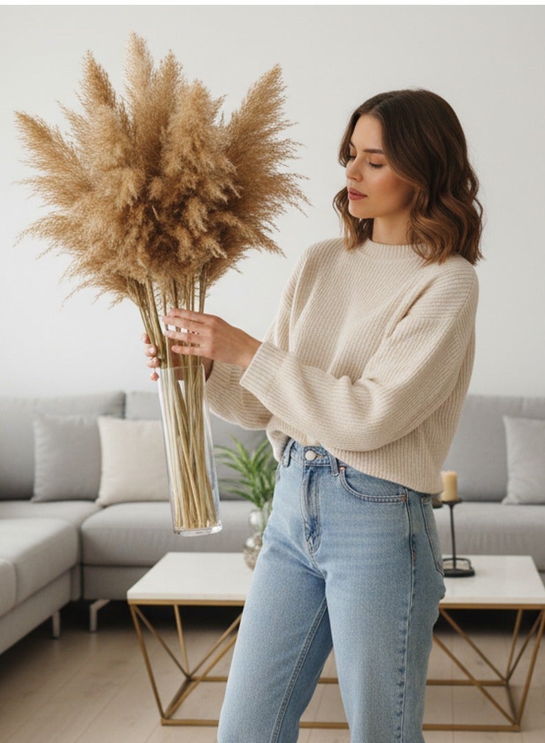 FANCY FLOWERS 3-Piece Fancy Natural Dried Soft Pampas XL Grass  60-70Cm - Image 4
